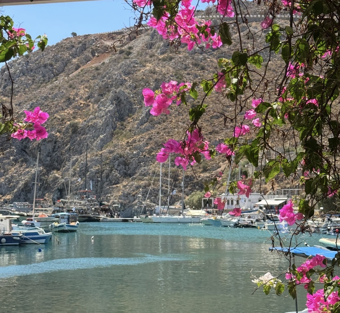 Havnen på Kalymnos med sejlbåde, klipper og lyserød bougainvillea